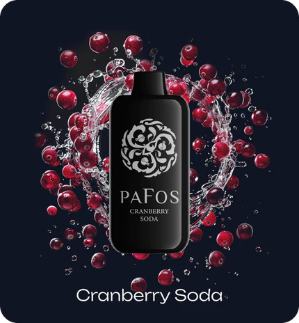 Pafos 35K | 5% | (35000 Puff) -  Qty per pack 4