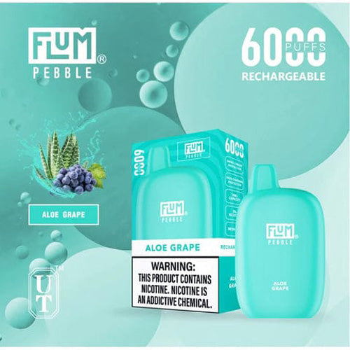 Flum PEBBLE  6000 Puffs 10 Per Pack