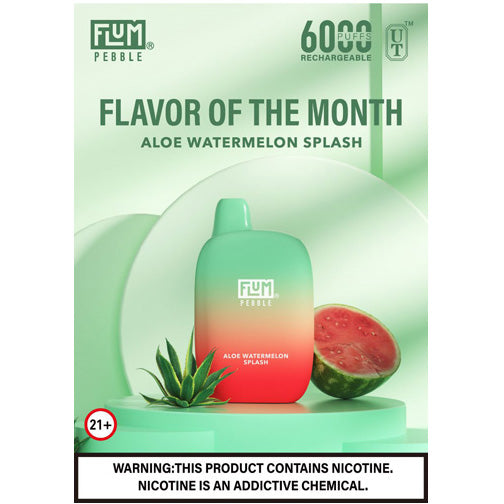 Flum PEBBLE  6000 Puffs 10 Per Pack