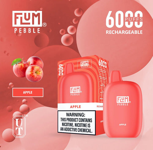 Flum PEBBLE  6000 Puffs 10 Per Pack