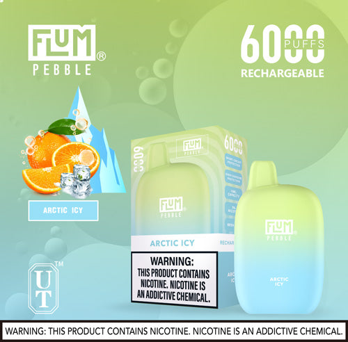 Flum PEBBLE  6000 Puffs 10 Per Pack