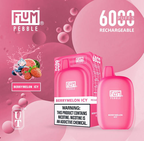 Flum PEBBLE  6000 Puffs 10 Per Pack