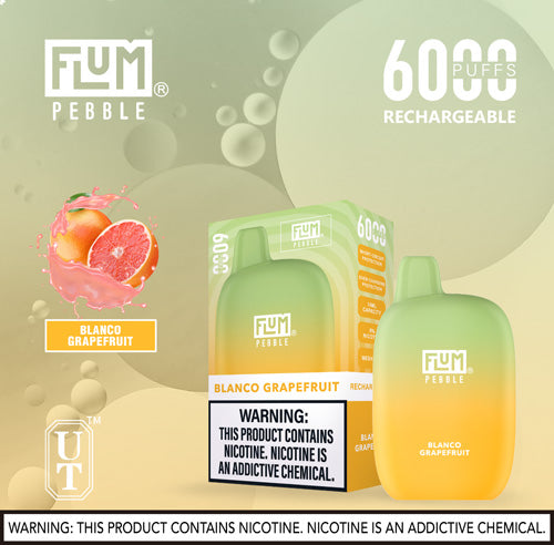 Flum PEBBLE  6000 Puffs 10 Per Pack