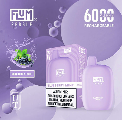 Flum PEBBLE  6000 Puffs 10 Per Pack