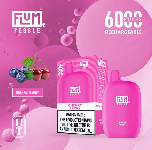 Flum PEBBLE  6000 Puffs 10 Per Pack