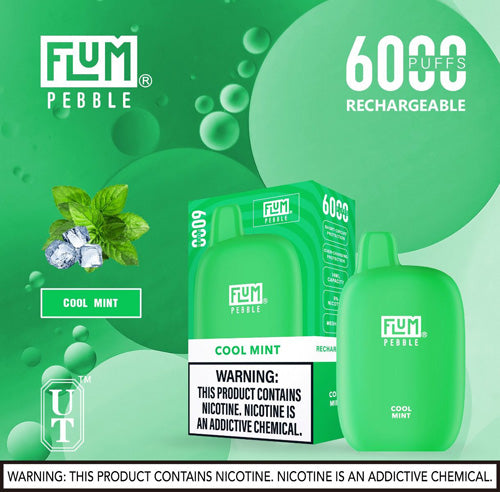 Flum PEBBLE  6000 Puffs 10 Per Pack