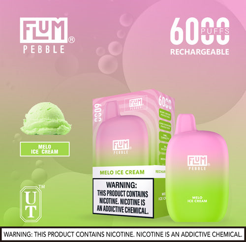 Flum PEBBLE  6000 Puffs 10 Per Pack