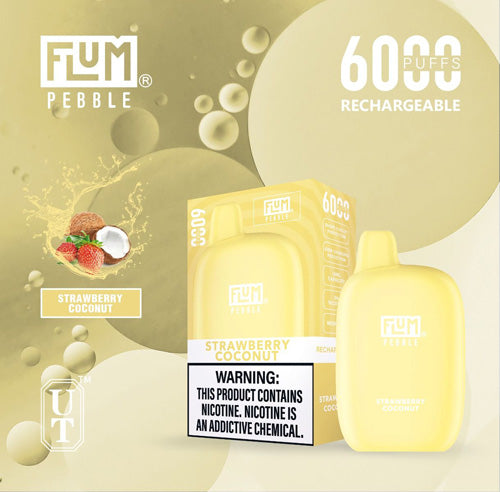 Flum PEBBLE  6000 Puffs 10 Per Pack