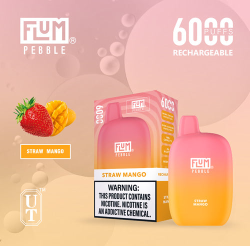 Flum PEBBLE  6000 Puffs 10 Per Pack