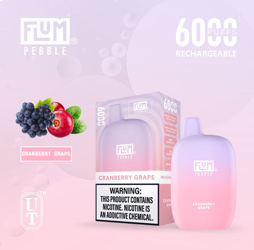 Flum PEBBLE  6000 Puffs 10 Per Pack