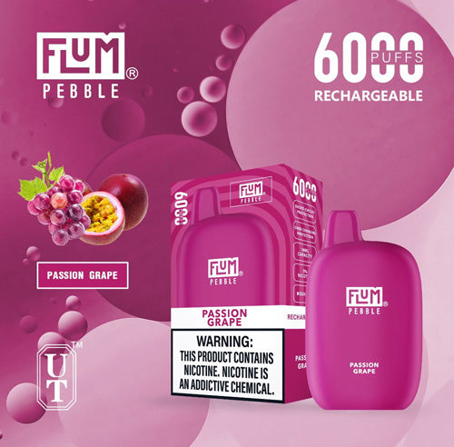 Flum PEBBLE  6000 Puffs 10 Per Pack