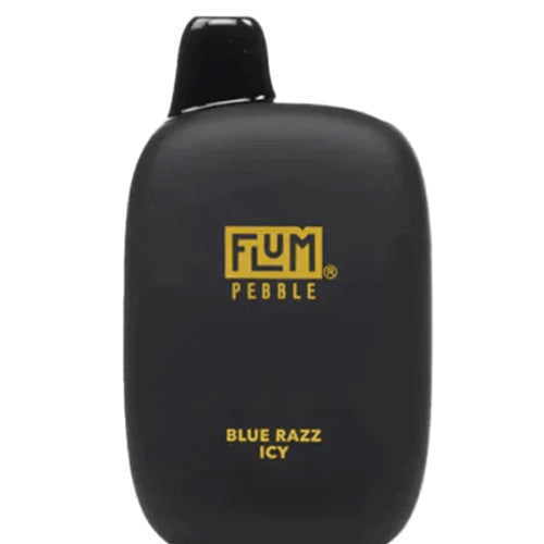 Flum PEBBLE  6000 Puffs 10 Per Pack