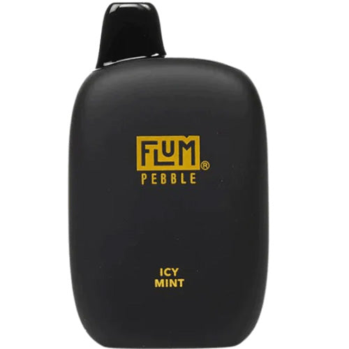 Flum PEBBLE  6000 Puffs 10 Per Pack