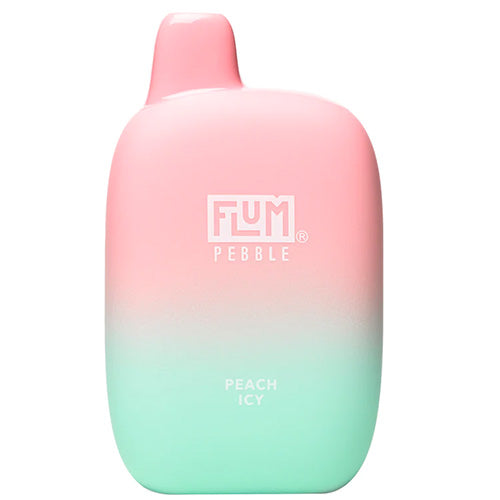 Flum PEBBLE  6000 Puffs 10 Per Pack