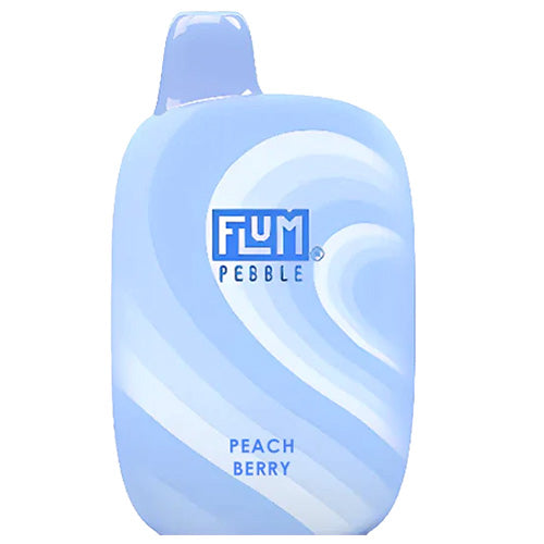 Flum PEBBLE  6000 Puffs 10 Per Pack