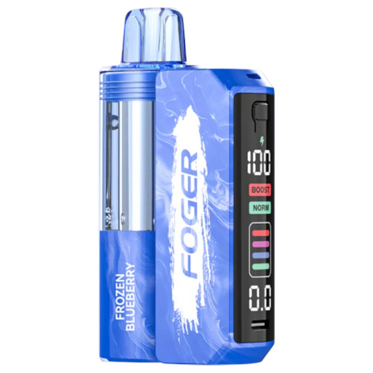 Foger Switch Pro Kit | 5% | (30000 Puff) -  Qty per pack 5
