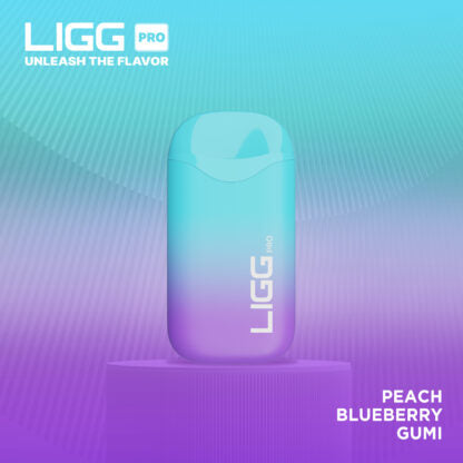 Ligg Pro (Dispo) (5500Puff)(14mL)  -  Qty per pack 10 Peach Blueberry Gumi 50mg