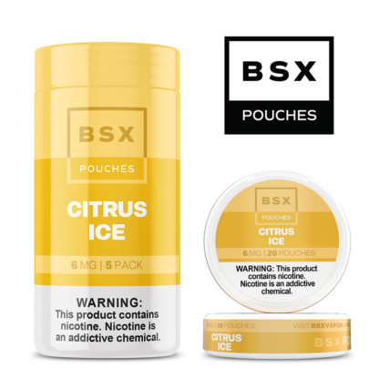 Basix Pouches (DSPLY 5pc)(Nic Pouch)(20ct Can)  -  Qty per pack 1 Citrus Ice 03mg (SAS)